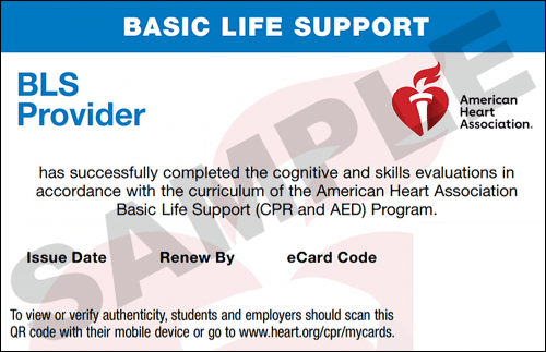 Sample American Heart Association AHA BLS CPR Card Certification from CPR Certification Pasadena