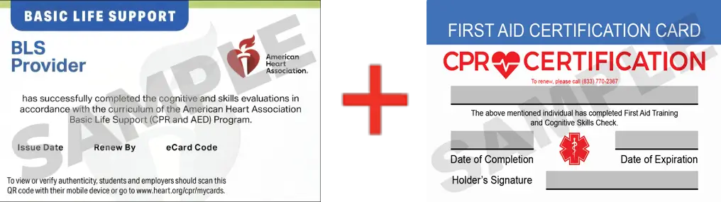 Sample American Heart Association AHA BLS CPR Card Certificaiton and First Aid Certification Card from CPR Certification Pasadena